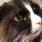 Donna French Bodkin - @donna.bodkin.7 - Instagram