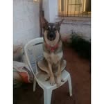 Donna - @donnabogarin - Instagram