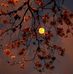 Donna Boland - Facebook
