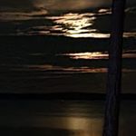 Donna Bowen Bolen - @bolendonna - Instagram
