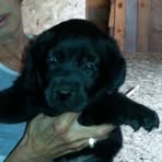 Donna Boomer - Facebook