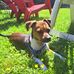 Donna Borja - Facebook