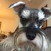 Donna Bosstic - Facebook