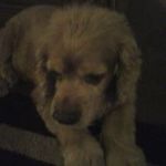 Donna Bouchard - @tuffybear14 - Instagram