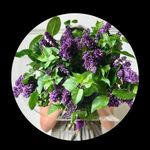 Donna_Bouchard - @donna_bouchard63 - Instagram