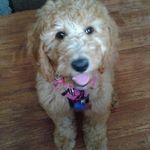 Donna Bouchard - @donna_bouchard_11901 - Instagram