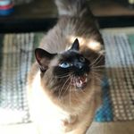 Donna Boynton - @hair.mom - Instagram