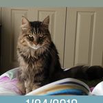 Donna Boynton - @doodieb65 - Instagram