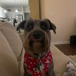 Donna Bramlett Farmer - @donnafarmer6670 - Instagram