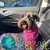 Donna Bramlett Farmer - Facebook
