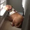 Donna Braswell - @donna.braswell7 - TikTok