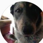 Donna braswell - @d.braswell1 - Instagram