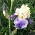 Donna Bratton - Facebook