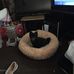 Donna Bratton - Facebook