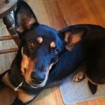 Donna Braun - @donna.braun.311 - Instagram