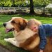 Donna Breshears - Facebook