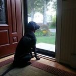 donna bricker - @donnabricker1 - Instagram