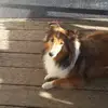 donnabrickley992 - @donnabrickley992 - TikTok