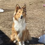 Donna Bridges - @donna.bridges.39589 - Instagram