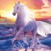 Donna Bridges - Facebook