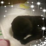 Donna Bridges - @donna.bridges.1694 - Instagram