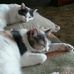 Donna Bridges - Facebook