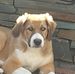 Donna Briscoe - Facebook