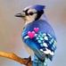 Donna Brook - Facebook