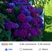 Donna Brooke - Facebook