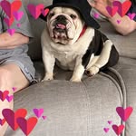Donna Elaine Broomfield - @ppeanut28 - Instagram