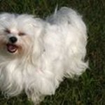 Donna Brower - @brower_donna - Instagram
