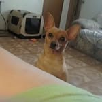 Donna Browning - @donna.browning.1614 - Instagram