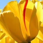 Donna Browning - @1965donna - Instagram