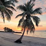 Donna Browning - @donna.browning.56 - Instagram