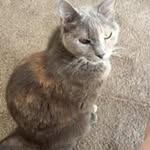 Donna Browning - @browning7140 - Instagram