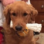 Donna Browning - @dbrowning0611 - Instagram