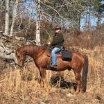 Donna Matthews Brubaker - @qs_nona - Instagram