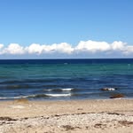 Donna Buckley - @donna.buckley.395 - Instagram