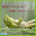 Donna Budd - @budd.donna - Instagram
