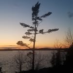 Donna Budd - @donnabudd75 - Instagram