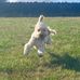 Donna Budd - Facebook