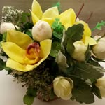 Donna buddy - @donna_buddy - Instagram