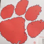 Donna Bull - @dcbullmom - Instagram