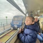Donna Bull - @daisydonna33 - Instagram