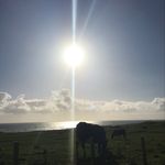 Donna Bunting - @buntingdonna - Instagram
