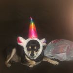 Donna Burcham - @burcham_donna - Instagram