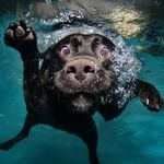 Donna Burdette - @dburd3 - Instagram