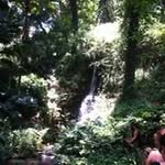 Sudonna Burdine Gratton - @sudonnaburdine - Instagram