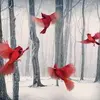 donnaburkemper - @burkemper5 - TikTok