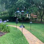 Donna Burnside - @donna.burnside.3781 - Instagram